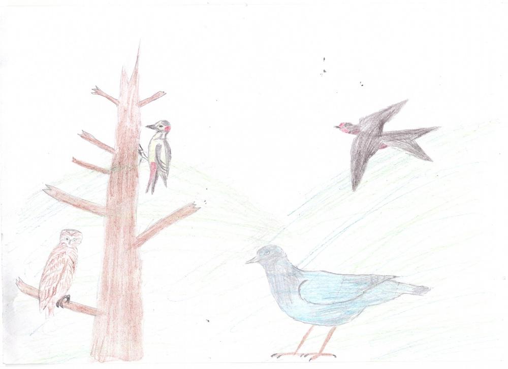 Рамазан Ишемгужин: Голубь, дятел, сова