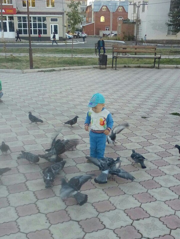 Аяз Хусаинов: Сизые голуби