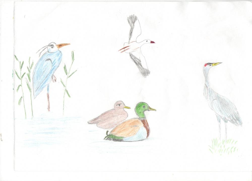 Фарида Ситдикова: Перелетные птицы