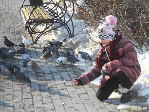 Полина Седова: Сизые голуби