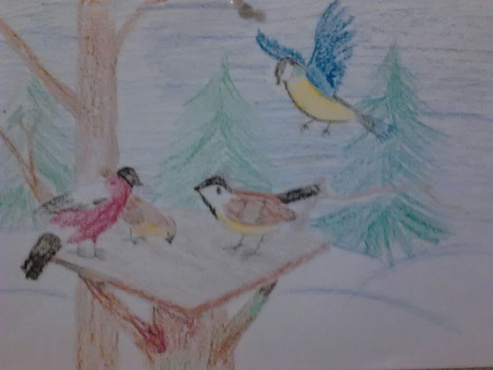Марина Ялитова: Птицы зимой