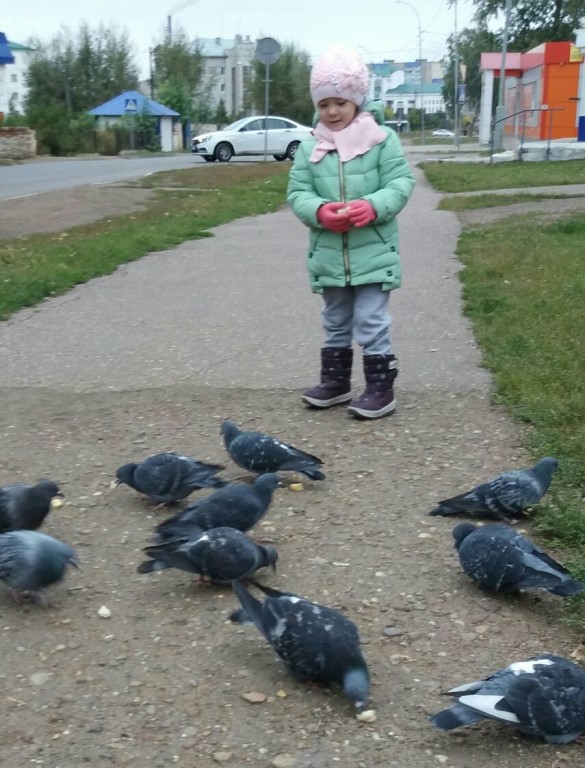 Рамина Ибраева: Сизые голуби