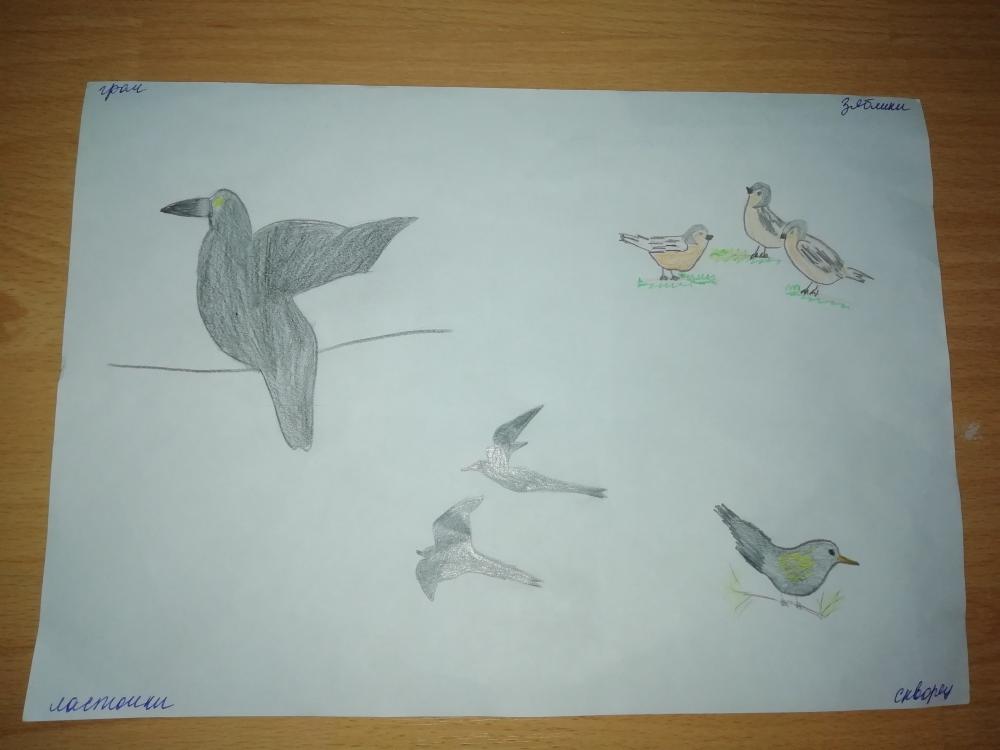 Кирилл Гусаров: Перелетные птицы Башкирии