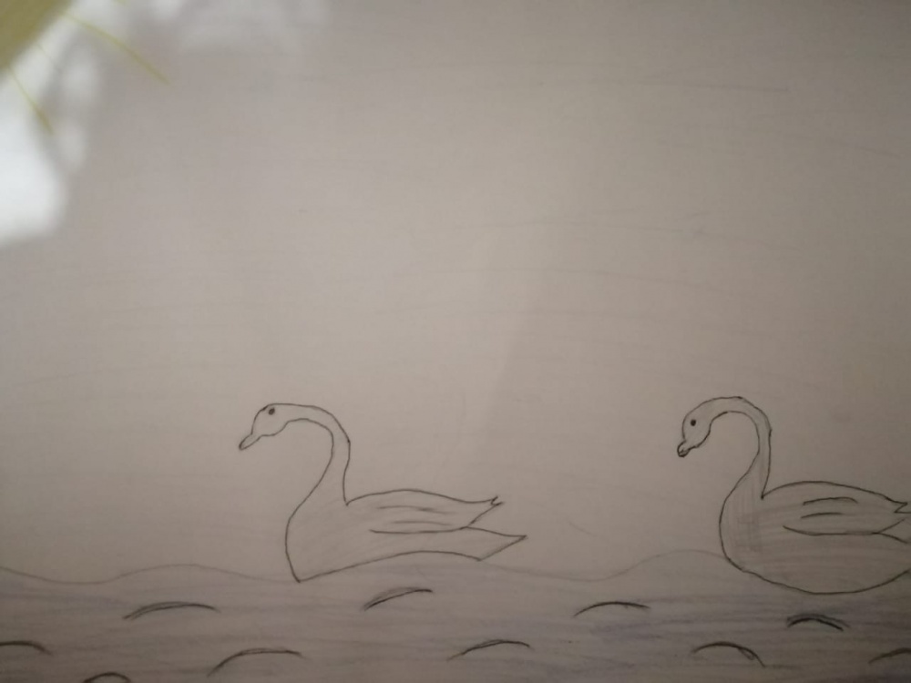 Анита Штефен: Лебеди на озере Аслы-куль