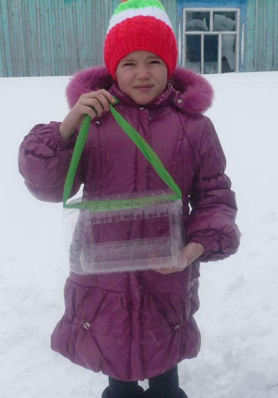 Назгуль Шамсутдинова: Моя кормушка - снежинка