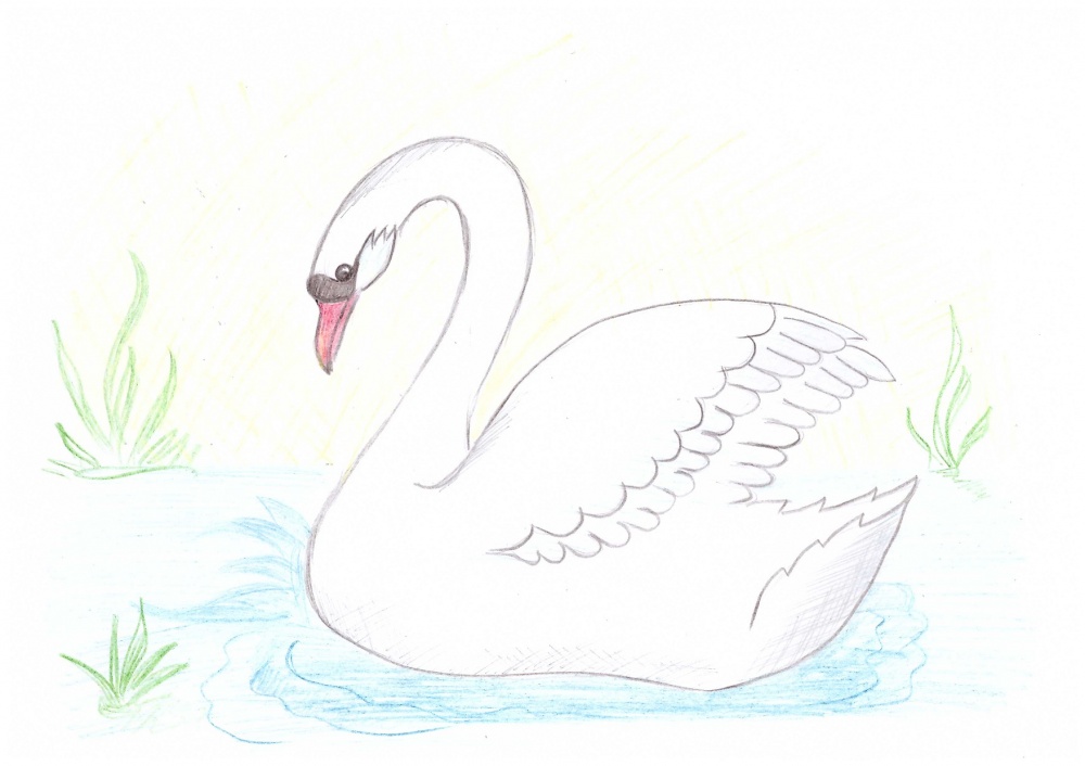 Аделия Биккинина: Лебедь