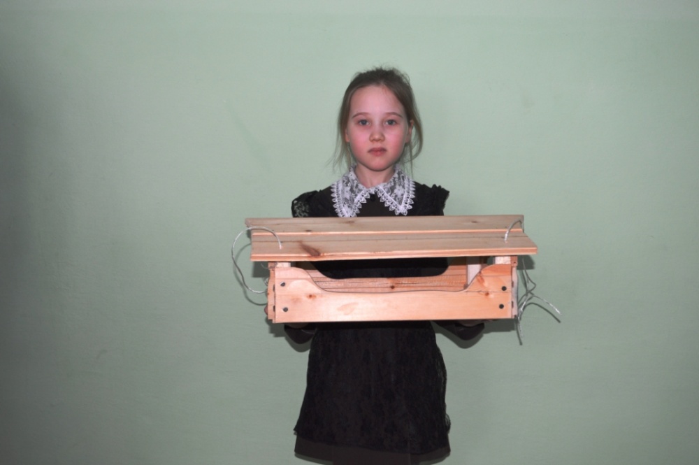 Камилла Гимранова: Столовая для птиц