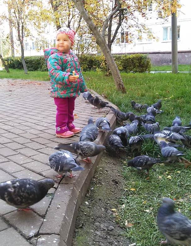 Амелия Гайнанова: Сизые голуби