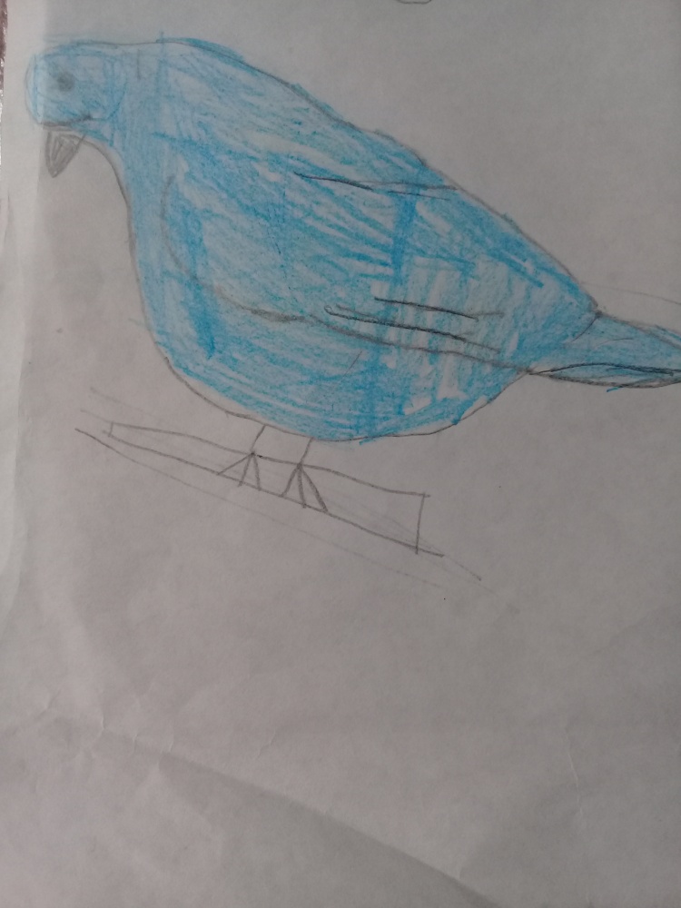 Айназ Хузин: Голубь - птица мира и счастья