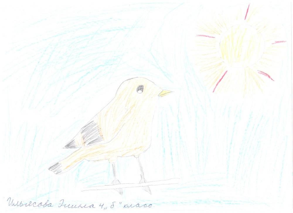 Элина Ильясова: Солнечная птица
