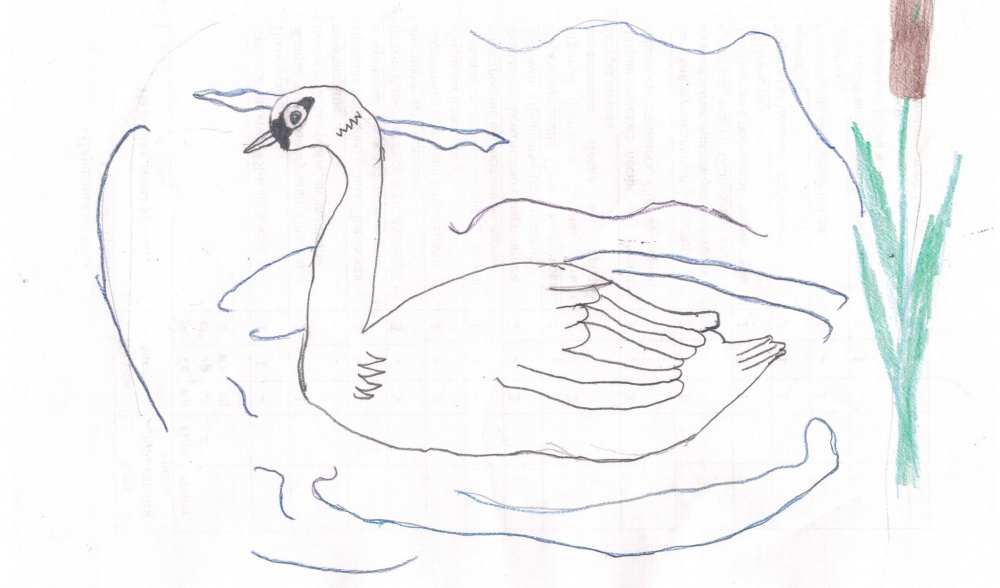 Аделина Ягафарова: Лебедь