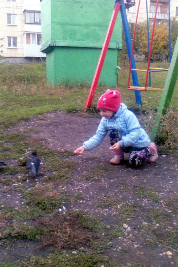 Виктория Зиязетдинова: Сизый голубь