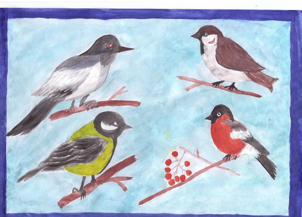 Дарья Тимеркаева: Зимние птички