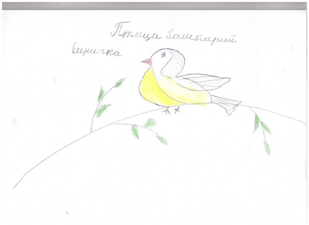 Ксения Князева: Синица
