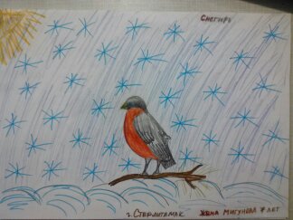 Женя Мигунова: Снегирь