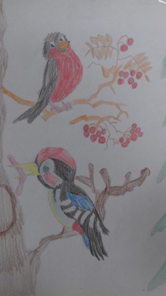 Арина Сафина: Зимующие птицы