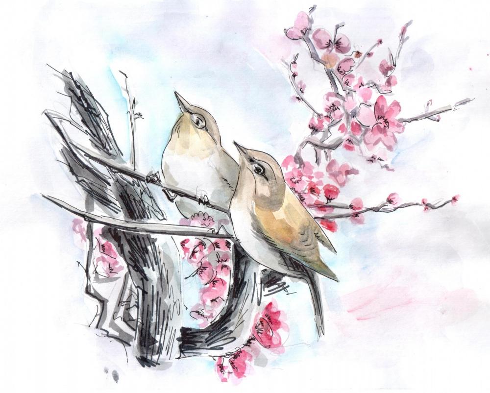 Мария Мельникова: Весна...Птицы прилетели.