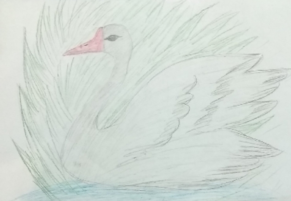 Раушания Телявсина: Лебедь