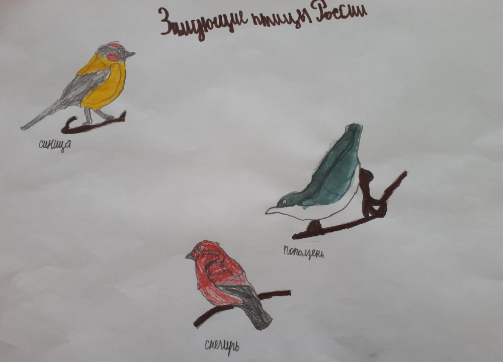 Артур Фаттахов: Зимующие птицы