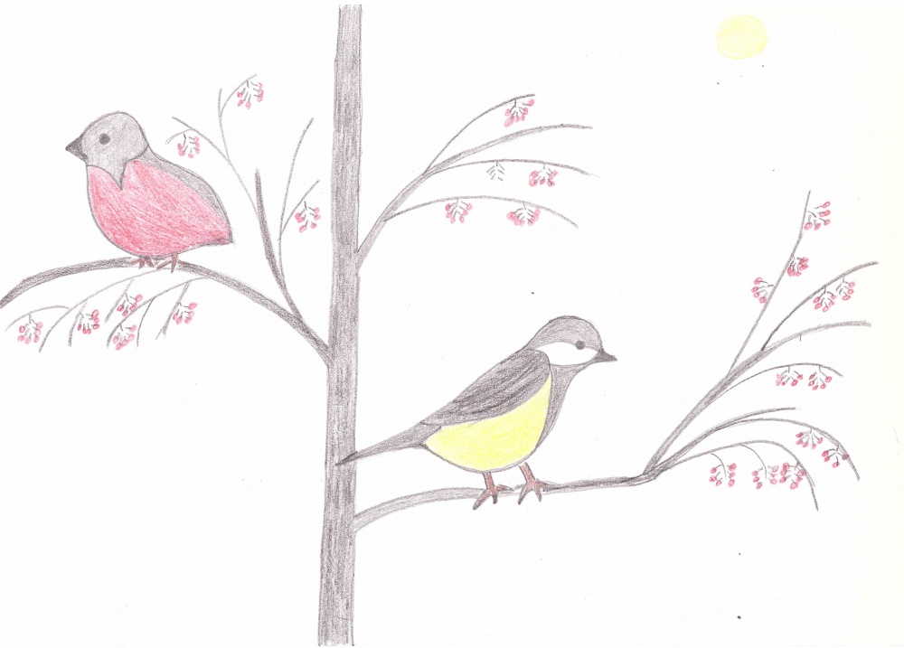 Роман Симонов: Зимующие птицы