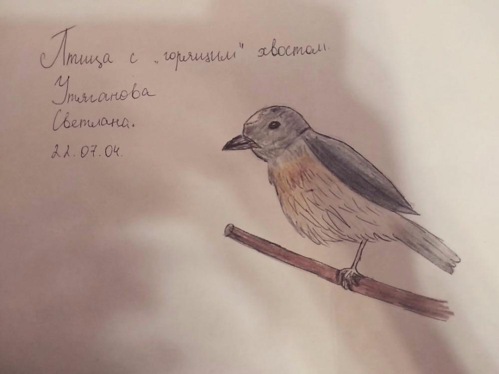 Светлана Утяганова: Птица с горящим хвостом - горихвостка