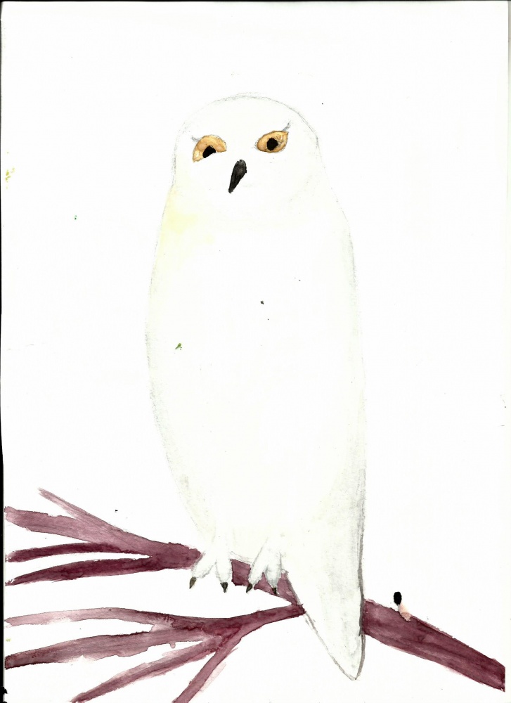 Надежда Ижбулдина: Белая сова