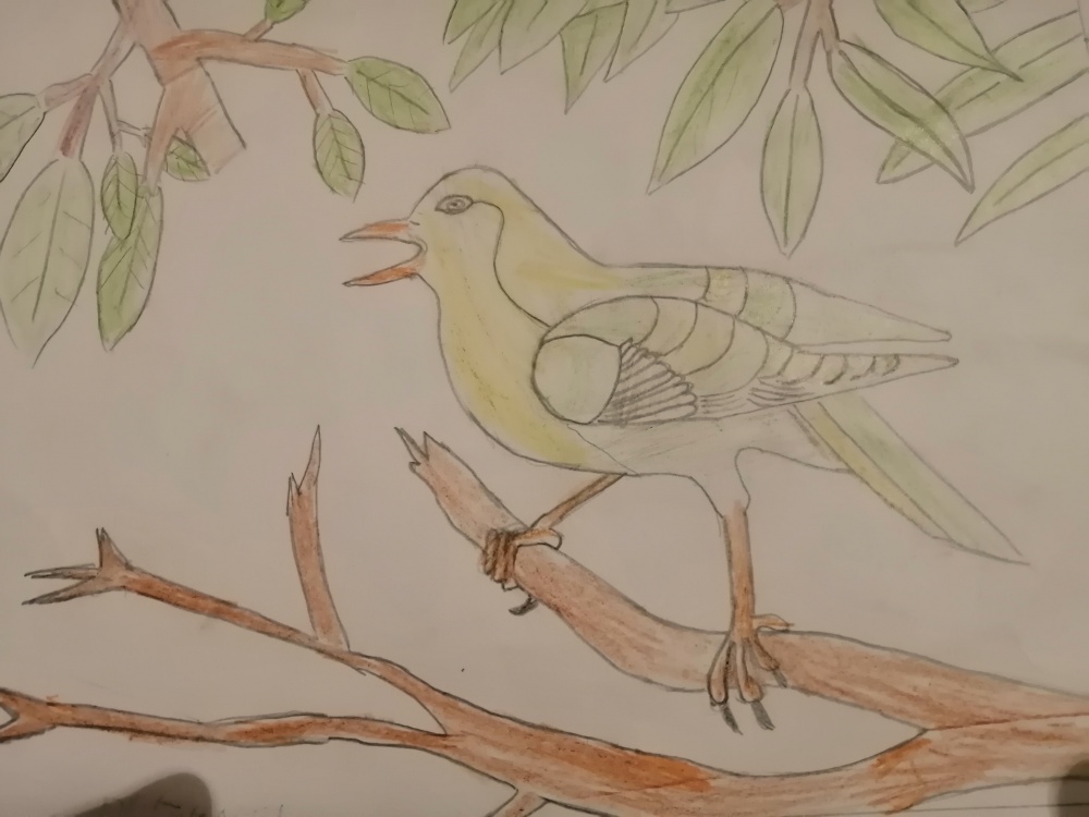 Рузалина Ерёмина: Птицы наши друзья
