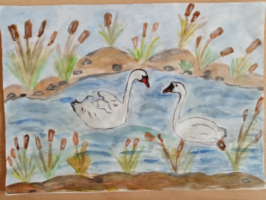 Тимур Насибуллин: Лебеди на пруду