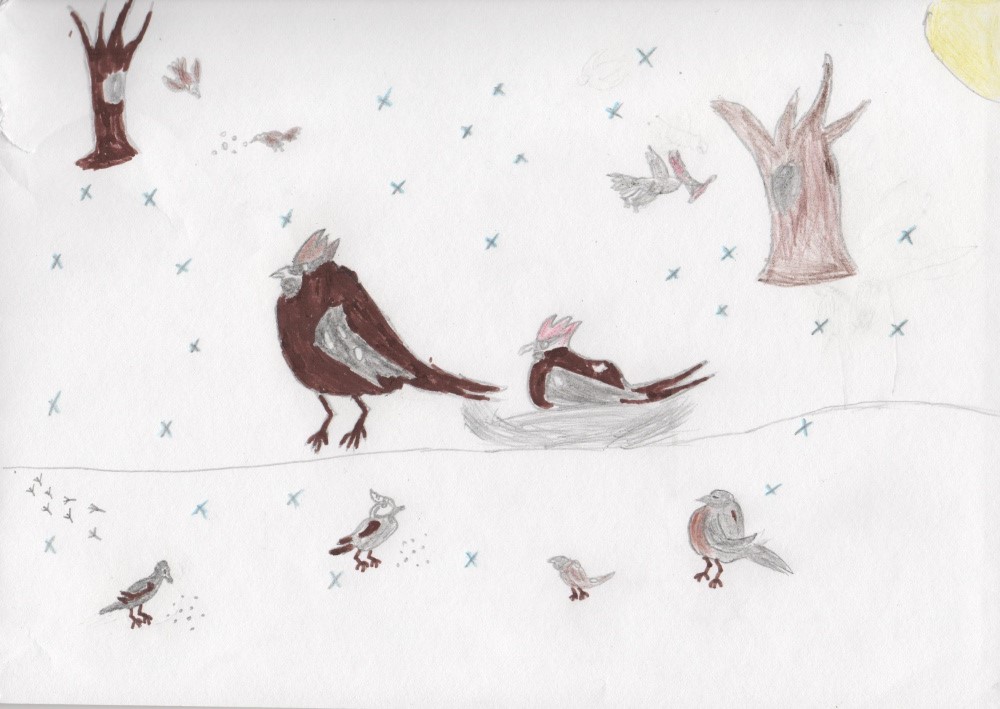 Максим Тимирханов: Птицы зимой