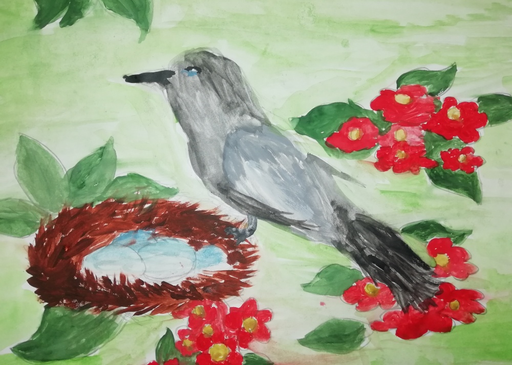 Софья Бондаренко: В мире птиц
