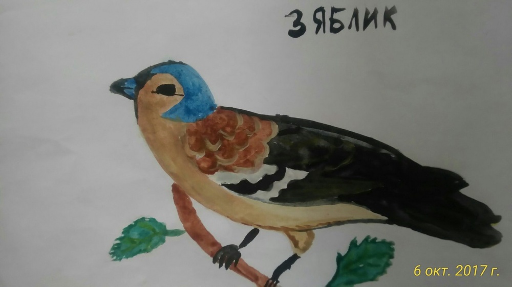 Милана Шамаева: Зяблик