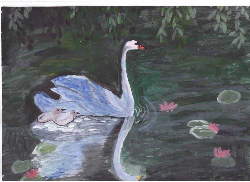 Рената Бакирова: Лебедь-шипун с лебедятами