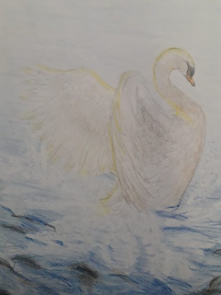 Диана Хусаинова: Лебедь