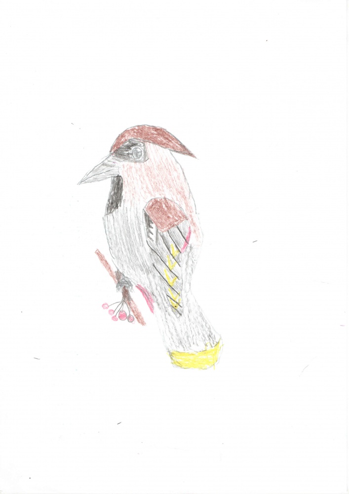 Алина Закирова: Свиристель