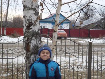 Амир Васильев: Воздушная кормушка