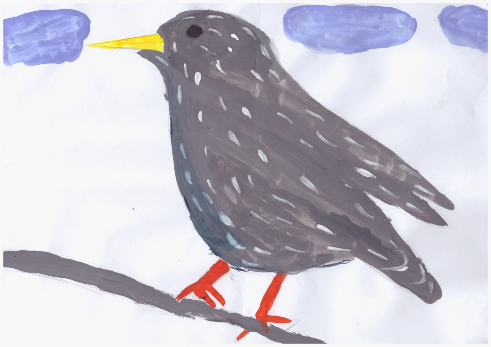 Картинка скворцов для детей в детском саду. Скворец Перелетная птица. Рисование Скворцов. Рисование птицы в подготовительной группе. Рисование скворец в старшей группе.