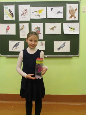 Ильнара Гафарова: Кормушка для птиц