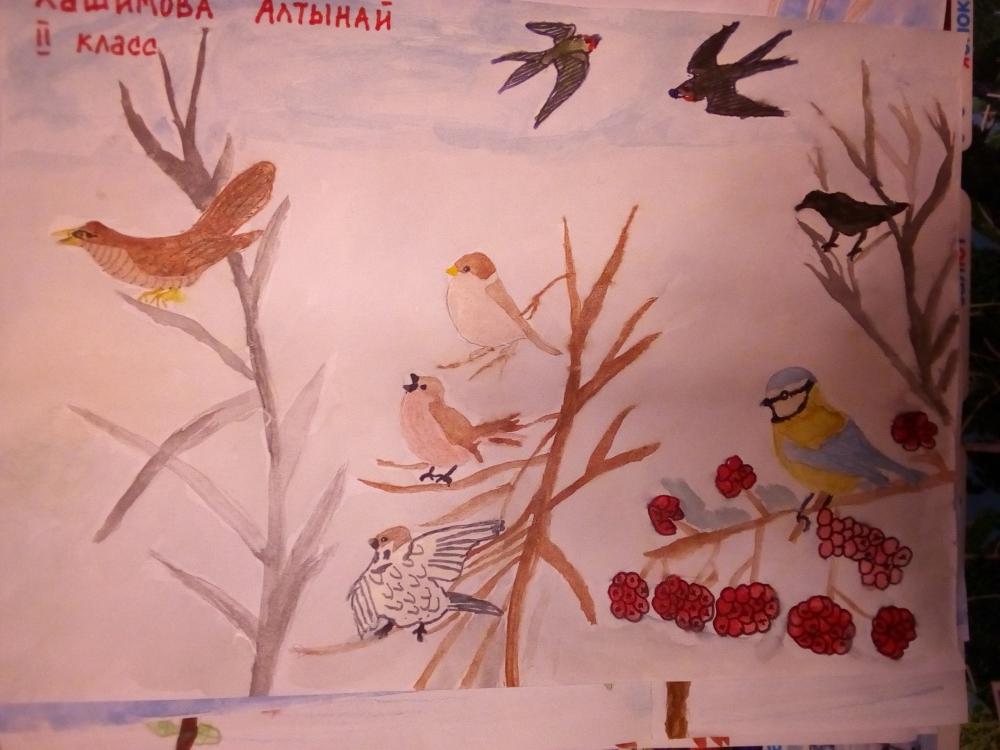 Алтынай Хашимова: Зимующие и перелётные птицы