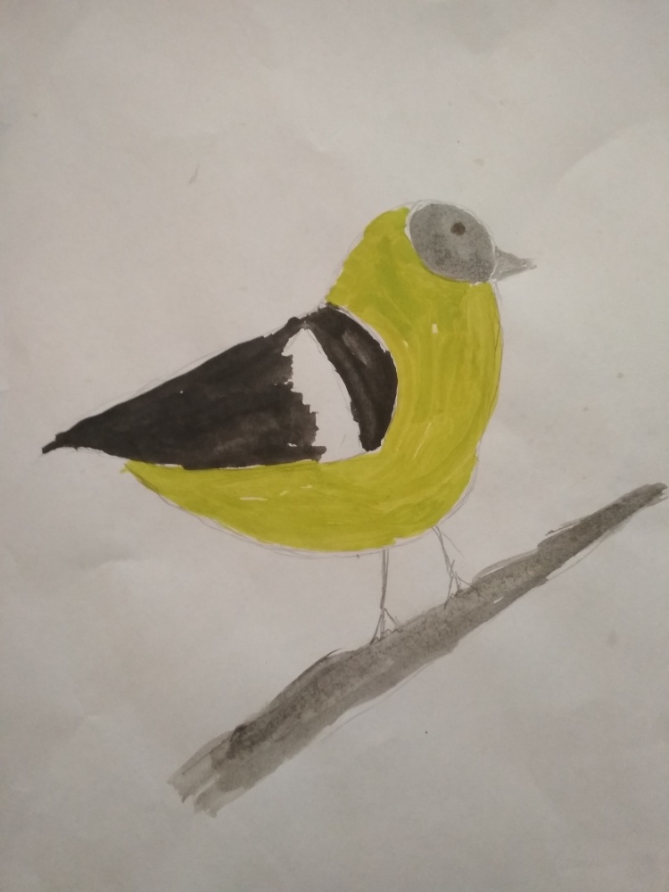 Надил Хузин: Синица - красивая птица