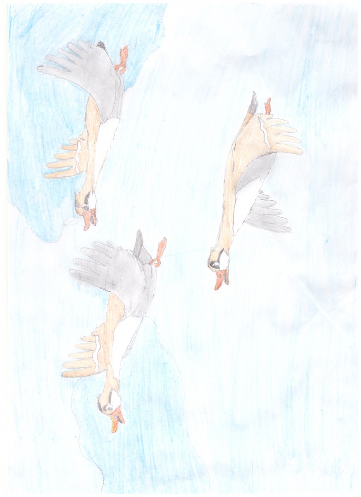 Рустам Нигматуллин: Летят утки