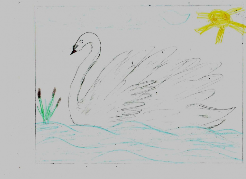 Ильнур Мухаметов: Лебедь на озере Кандры-куль