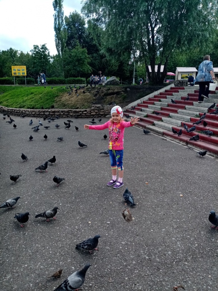 Дарина Капитонова: Сизые голуби