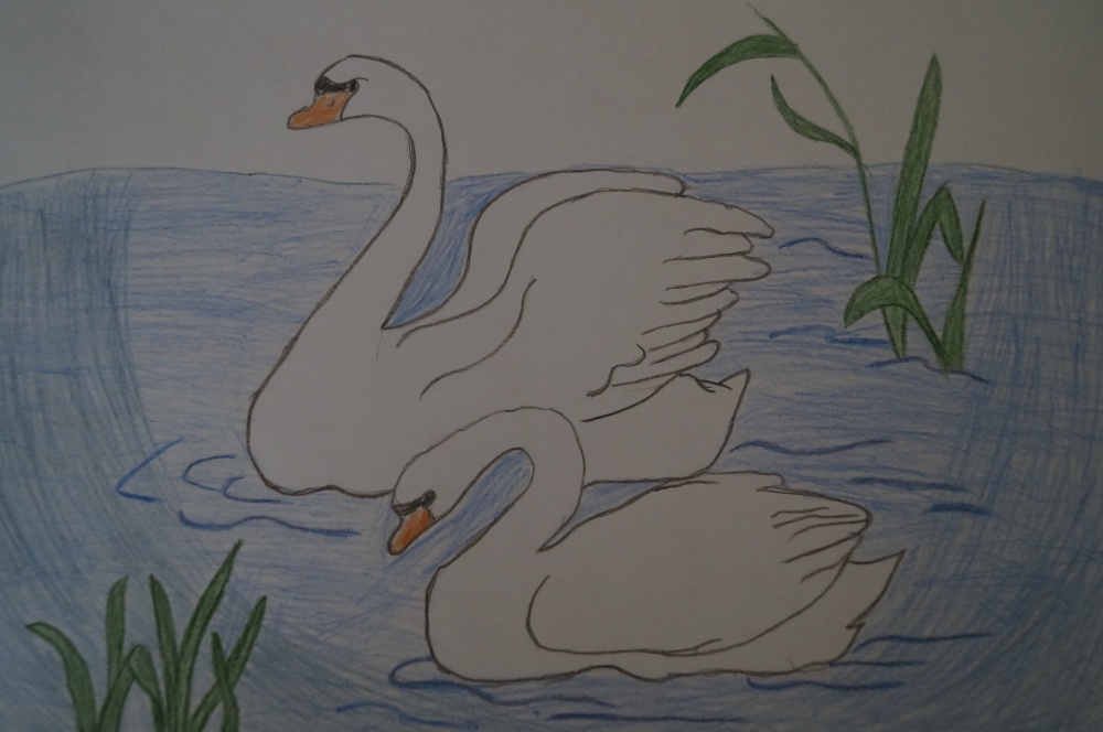Василиса Жеребцова: Лебеди на озере