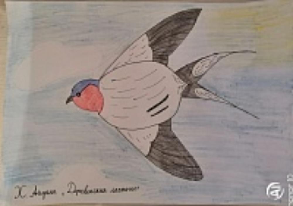 Айдана Ханова: Ласточка