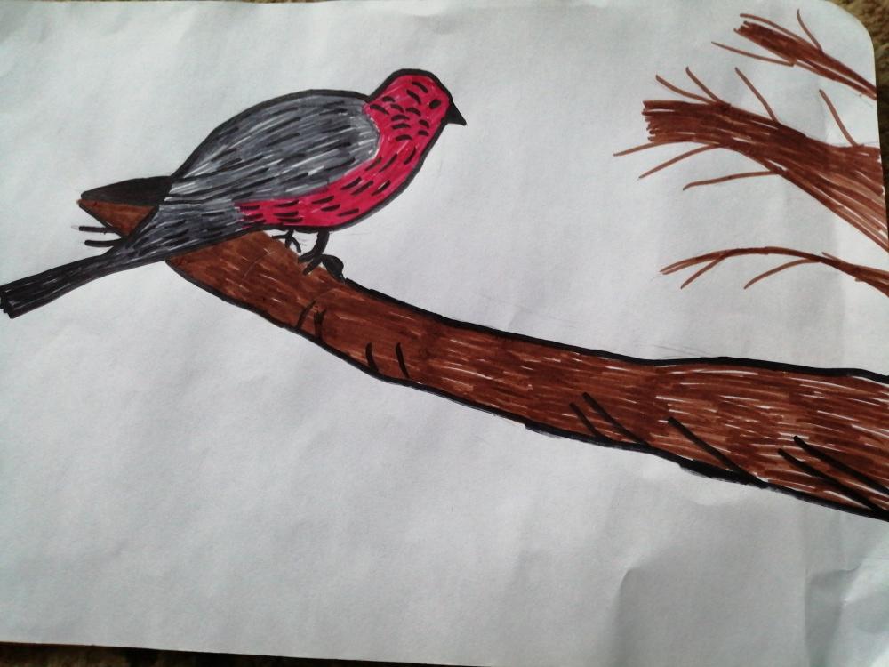 Анастасия Гурьянова: Снегирь