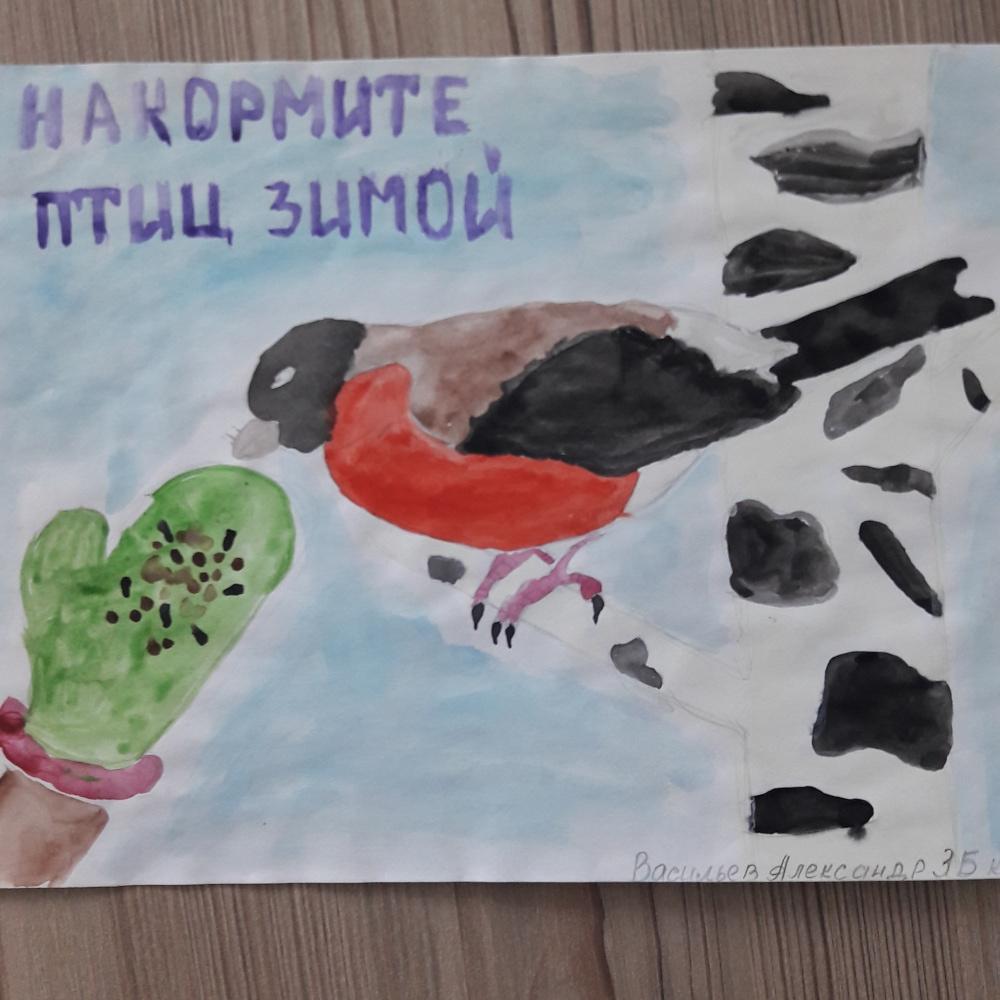 Александр Васильев: Накормите птиц зимой!