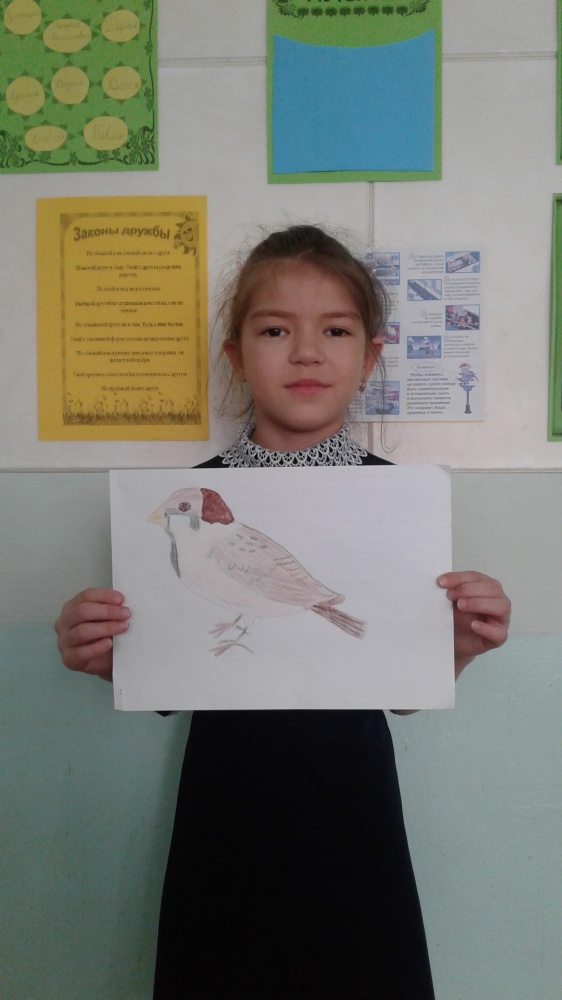 Аделина Миниханова: Воробей