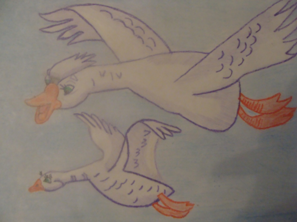 Камиль Хафизов: Гуси-лебеди