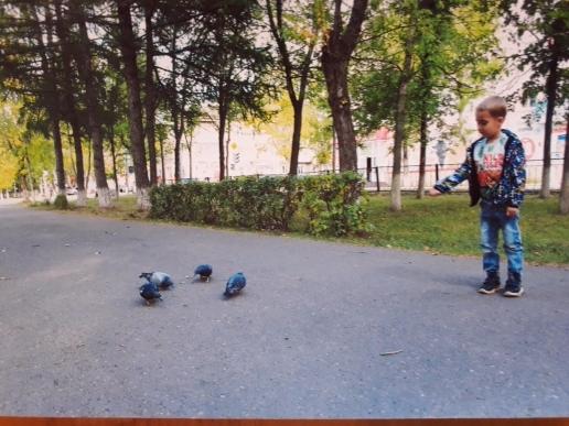 Артём Такиев: Сизые голуби