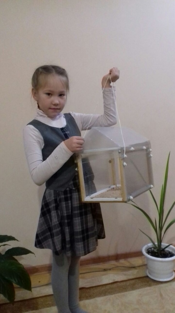 Альвина Юминская: Моя кормушка готова